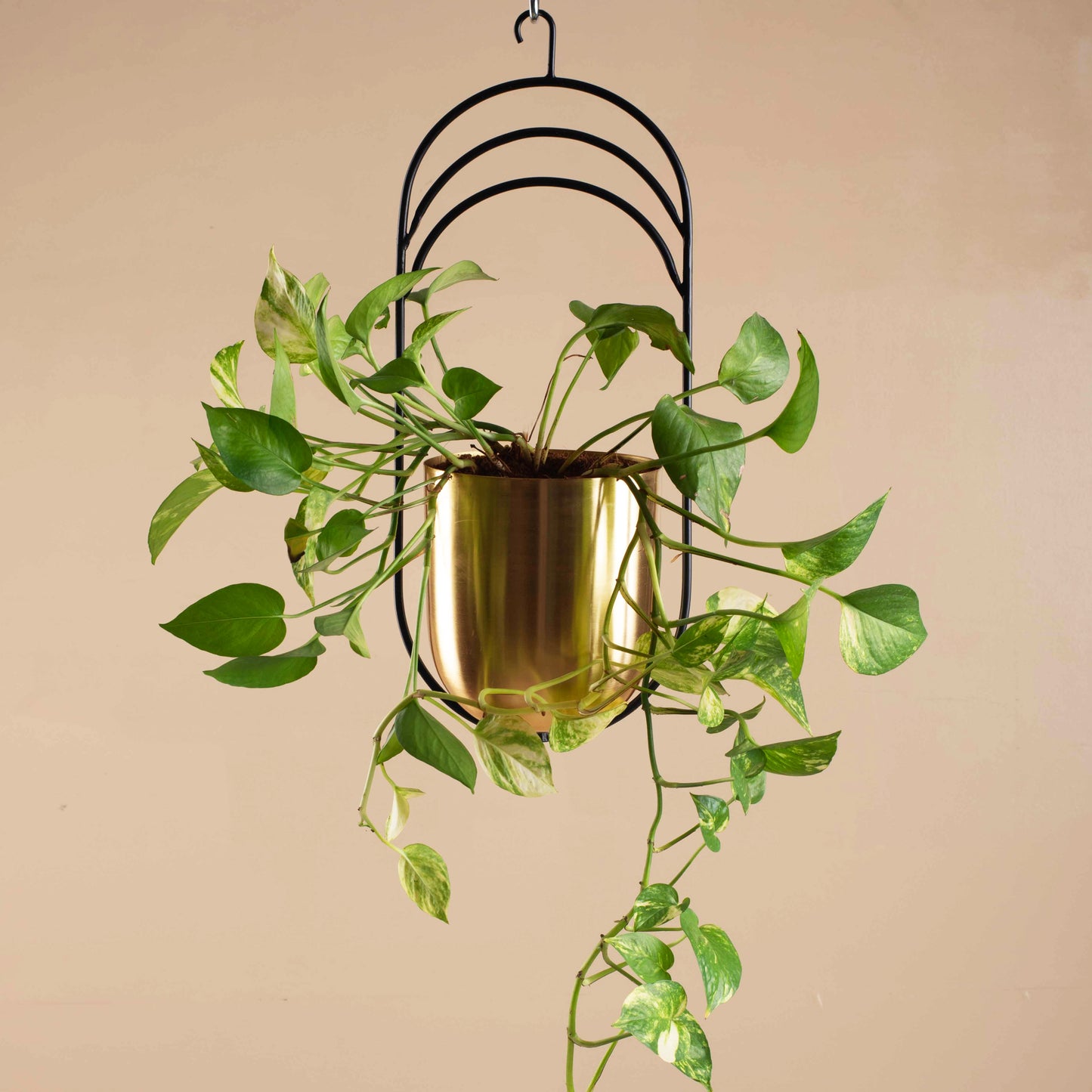 https://www.parampara.us/products/sirius-hanging-planter