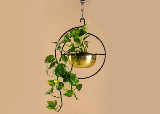 https://www.parampara.us/products/vega-hanging-planter