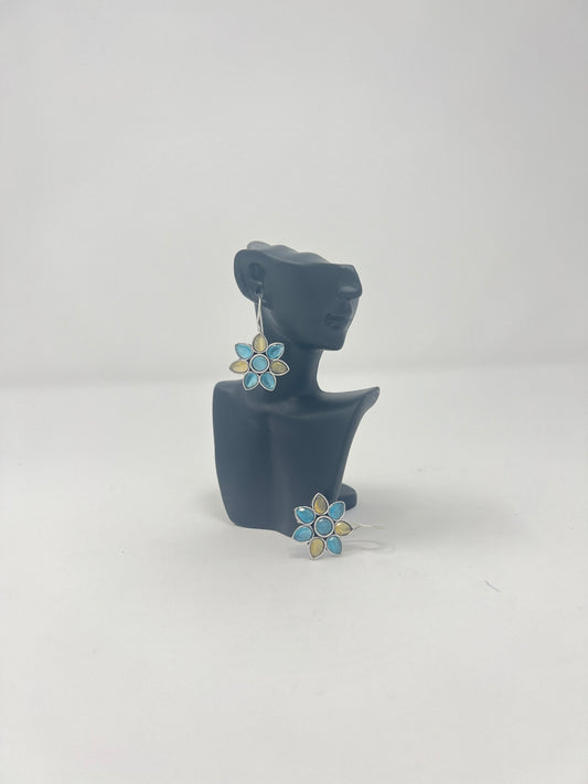 Daily Wear  Earrings